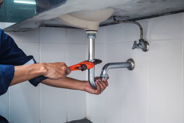 Best Clogged Drain Plumber  in Sneedville, TN