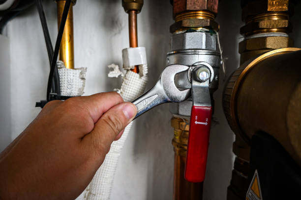 Best Residential Plumbing Services  in Sneedville, TN